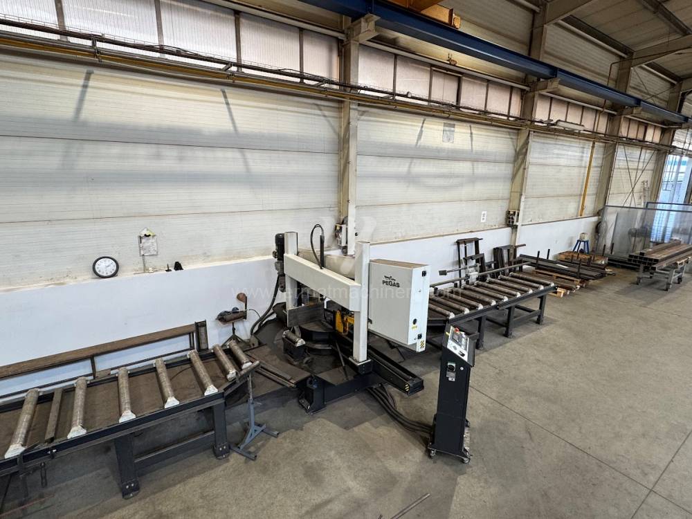 Attrezzature di taglio / Sega / PEGAS 500 x 750